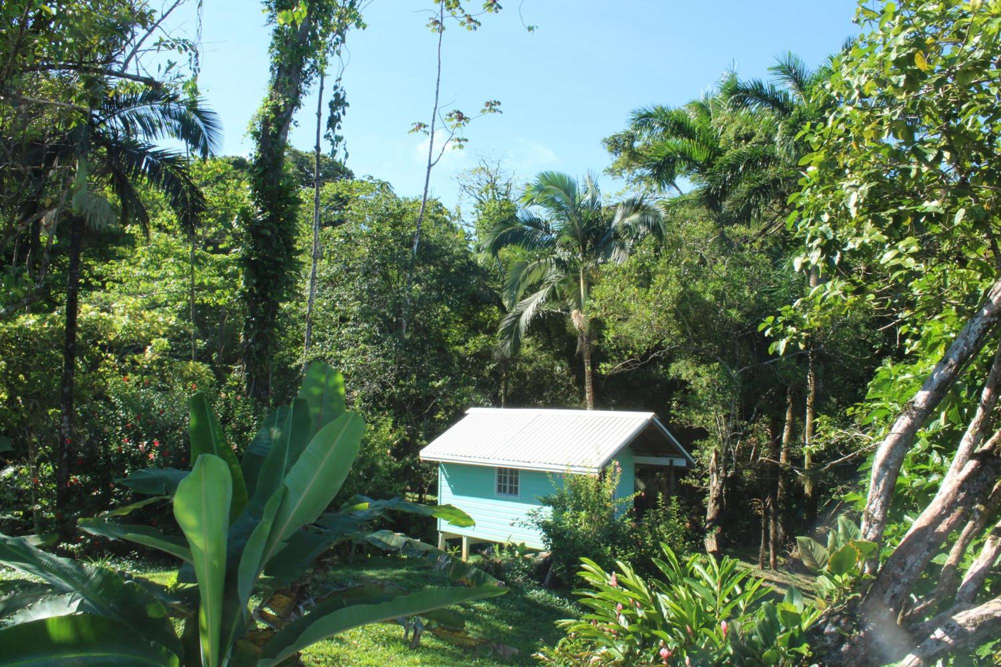 Bird Island Bungalows Bocas del Toro Room photo